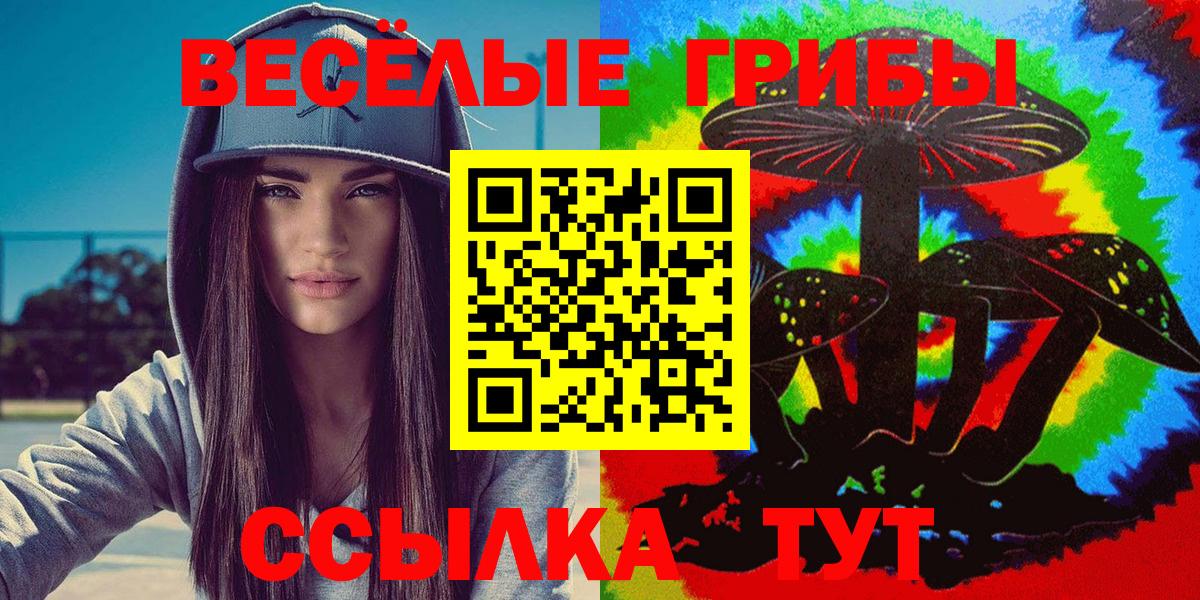 продажа наркотиков  Вход с VPN  Борзя  Псилоцибиновые грибы прущие грибы  Галлюциногенные грибы ЛСД 